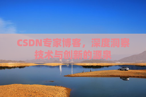 CSDN专家博客，深度洞察技术与创新的源泉